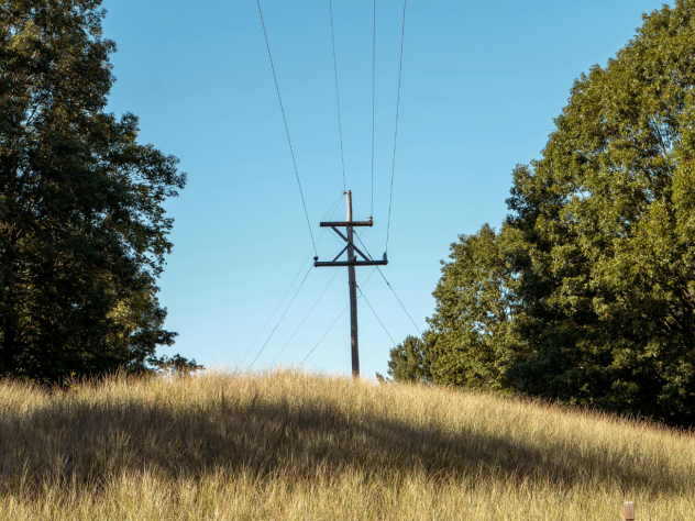 Photo of a power line on a grassy hill, surrounded by green trees and a bright blue sky