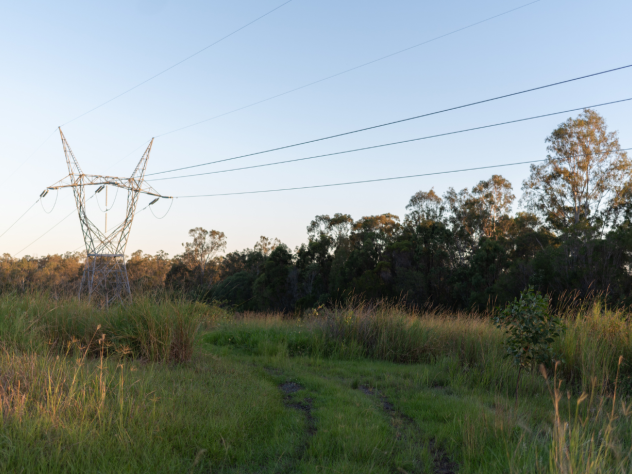 Photo of transmission line in Australian bushland.