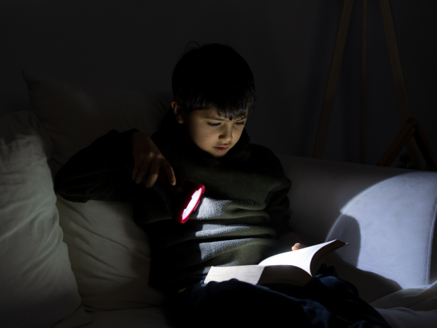 Photo of a young child reading a book on a couch, using a torch to illuminate it.