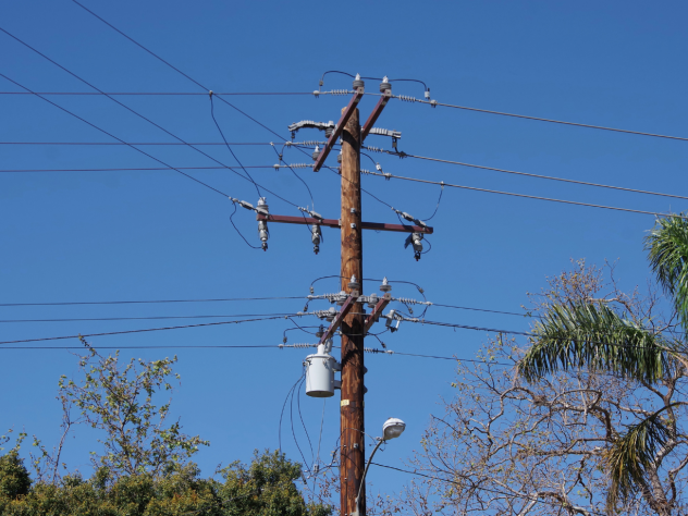 Photo of a power pole and power lines against a bright blue sky; trees including a palm tree are slightly cropped out of frame.