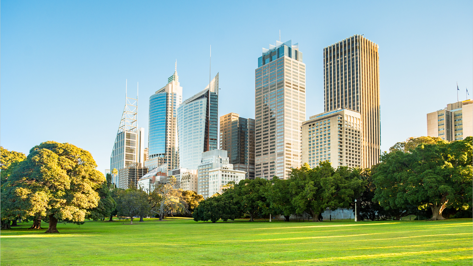 Photo of Sydney CBD, taken from The Domain. In the foreground are bright green grass and trees, and office buildings tower into a bright blue sky in the background.