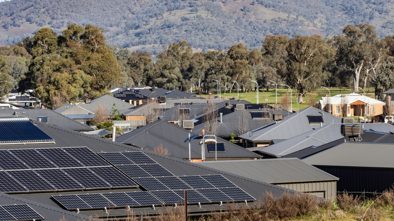Photograph of rooftops in a rural Victorian neighbourhood, with gum trees in the background. The rooftop in the foreground has solar panels on it.