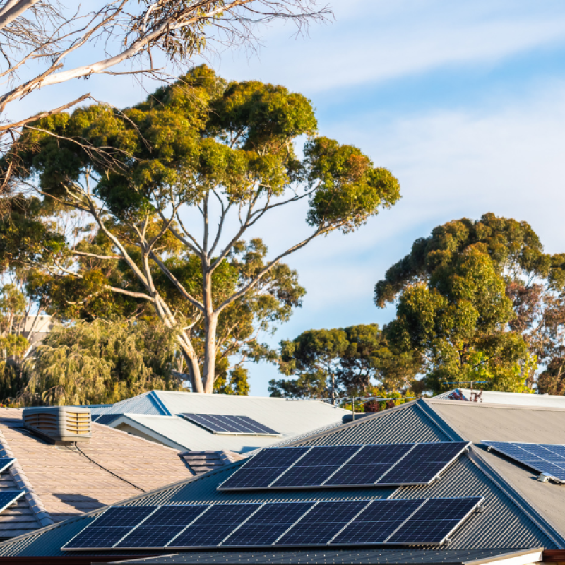 Photo of rooftops with solar panels on them and trees, blue sky and clouds in the background.