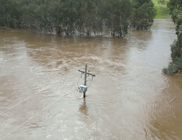 Photo of a power pole in a flood, surrounded by brown water and submerged trees