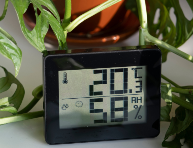 Thermometer in home  