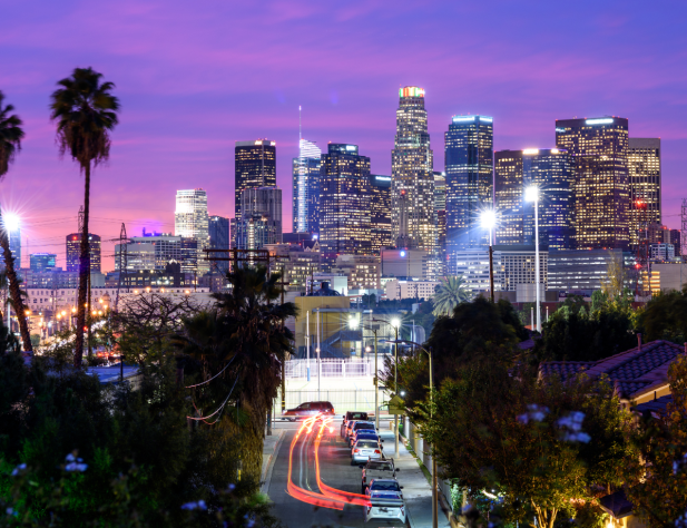Photo of Los Angeles skyline, with lights, skyscrapers, palm trees and residential street against a purple sky