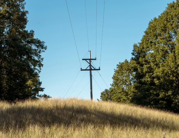 Photo of a power line on a grassy hill, surrounded by green trees and a bright blue sky