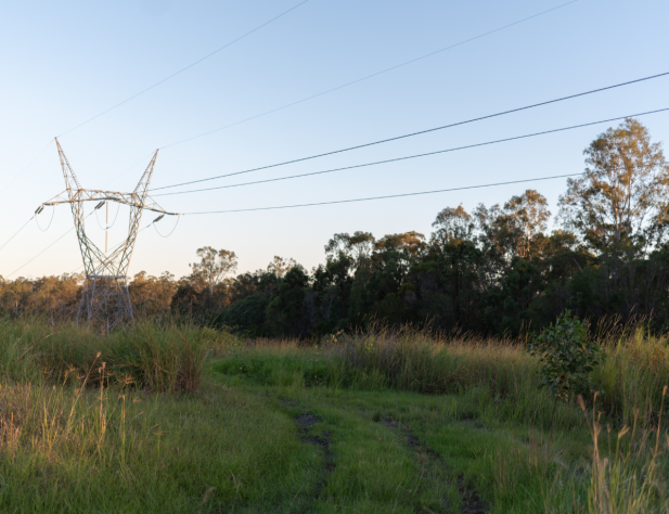 Photo of transmission line in Australian bushland.