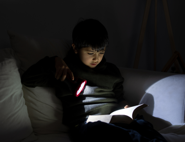 Photo of a young child reading a book on a couch, using a torch to illuminate it.