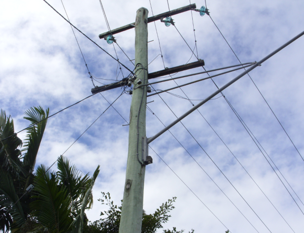 Photo of power pole in front of blue cloudy sky, near some palm trees.