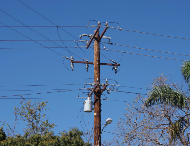 Photo of a power pole and power lines against a bright blue sky; trees including a palm tree are slightly cropped out of frame.