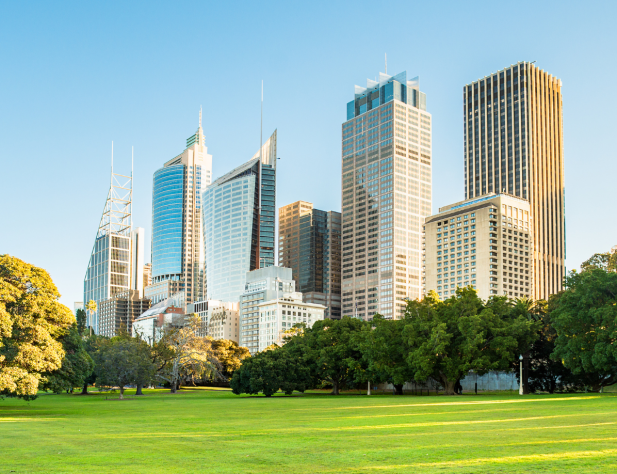 Photo of Sydney CBD, taken from The Domain. In the foreground are bright green grass and trees, and office buildings tower into a bright blue sky in the background.