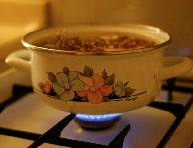 Photo of a pot with flowers on it, sitting on a gas stove