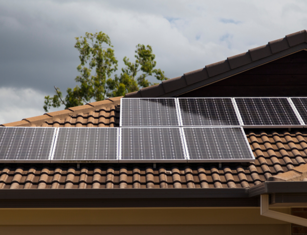 Photo of a rooftop with solar panels on it; in the background is a grey cloudy sky and a gum tree