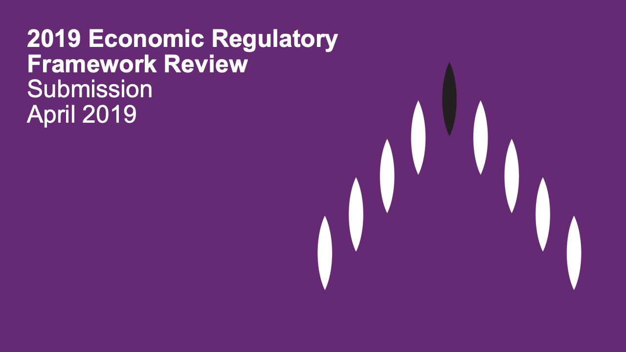 2019 Electricity Networks Economic Regulatory Framework Review: Submission