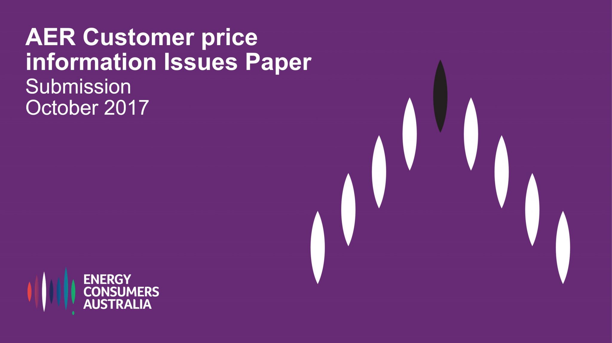 AER Customer price information Issues Paper: Submission