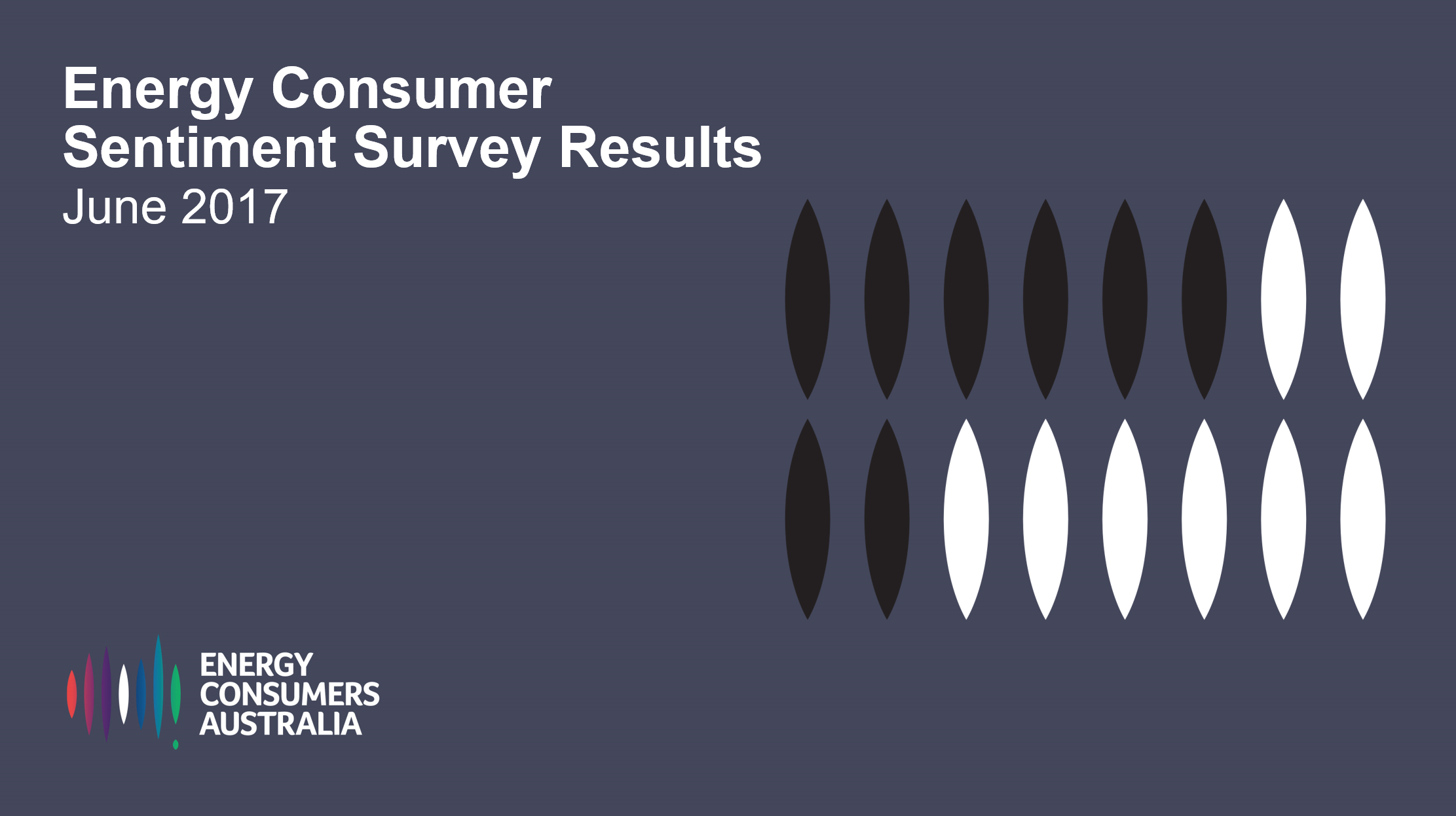 Energy Consumer Sentiment Survey Key Findings June 2017