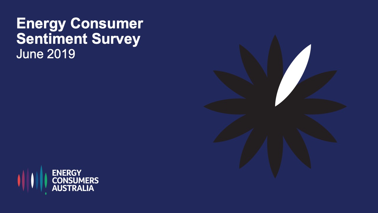 Energy Consumer Sentiment Survey: June 2019