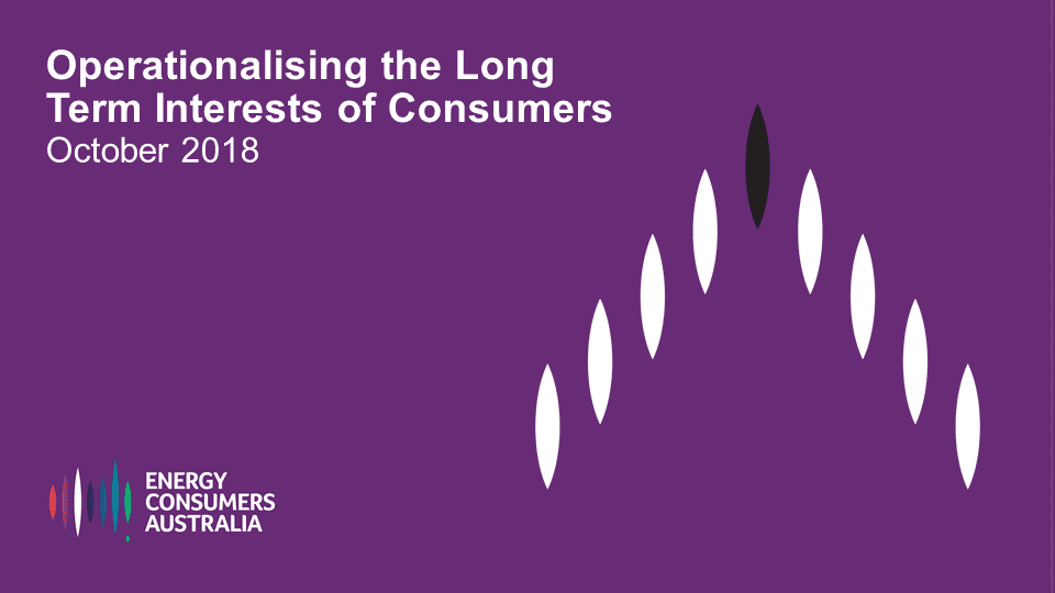 Operationalising the Long Term Interests of Consumers