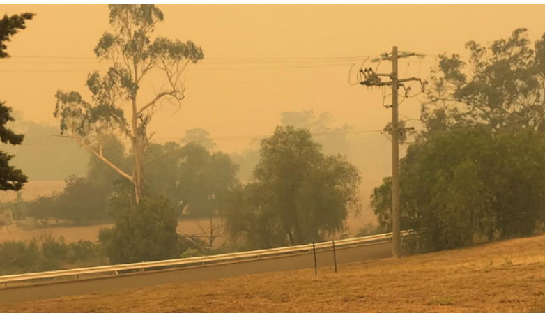 Poles and wires during the 2020 bushfires